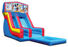Z-Mickey Mouse water slide Z-Mickey Mouse water slide